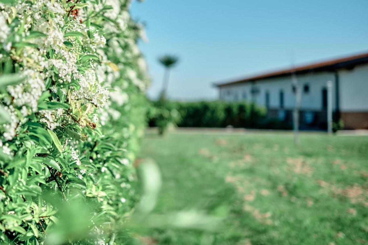 La Massaria Agriresort Orta Nova Εξωτερικό φωτογραφία