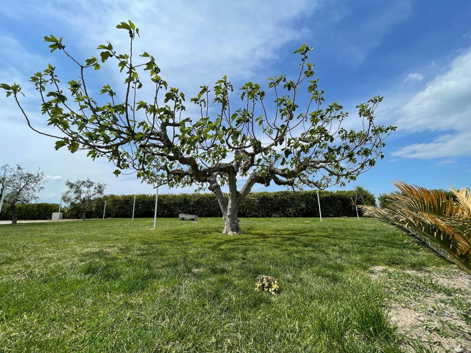 La Massaria Agriresort Orta Nova Εξωτερικό φωτογραφία