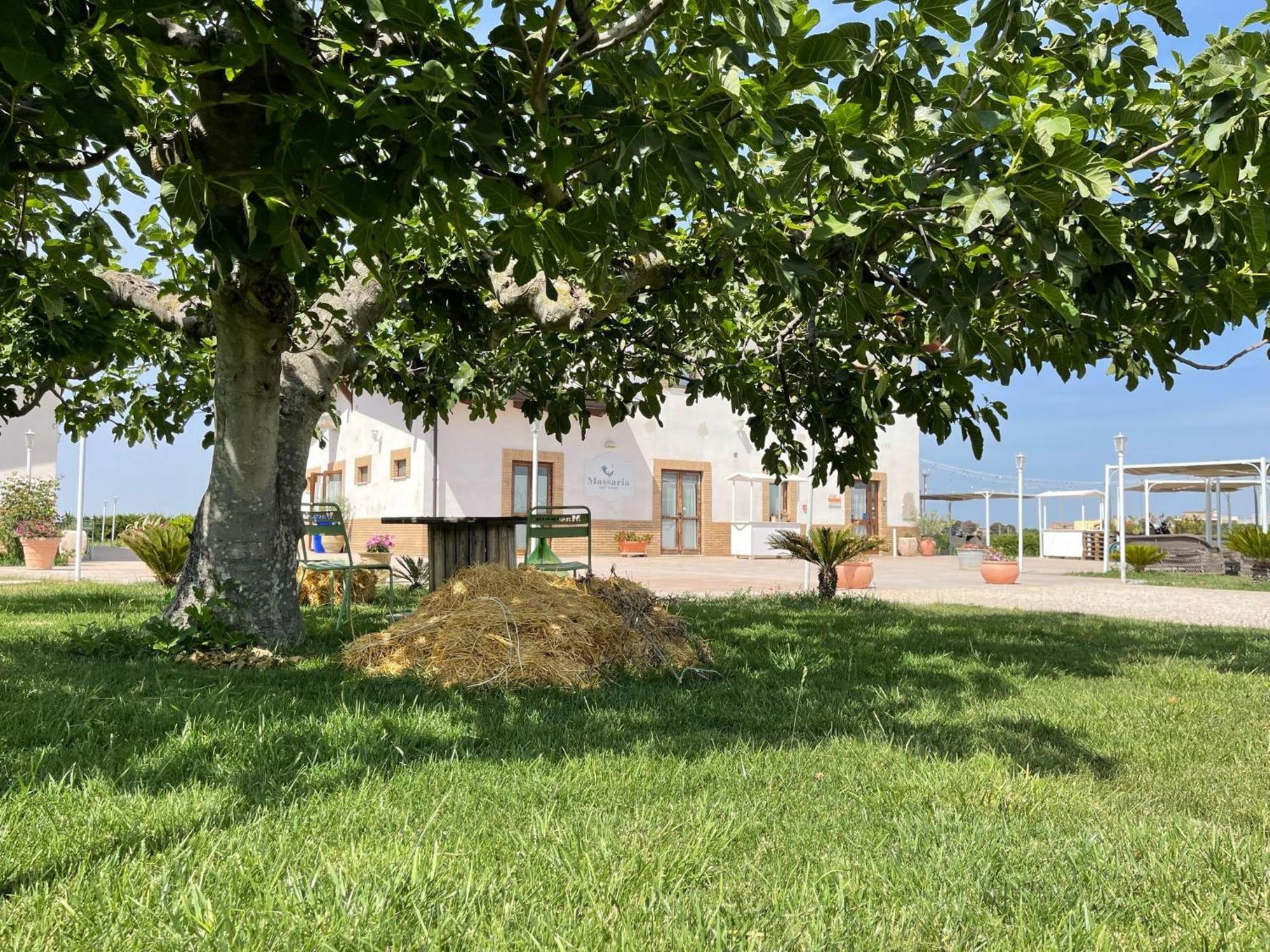 La Massaria Agriresort Orta Nova Εξωτερικό φωτογραφία