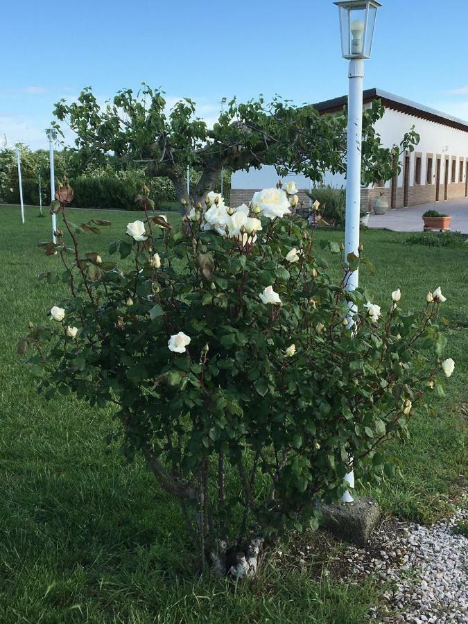 La Massaria Agriresort Orta Nova Εξωτερικό φωτογραφία
