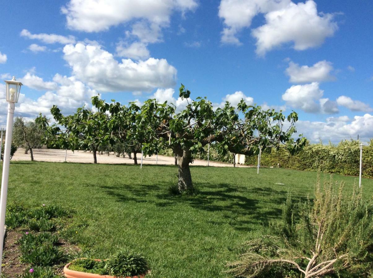 La Massaria Agriresort Orta Nova Εξωτερικό φωτογραφία